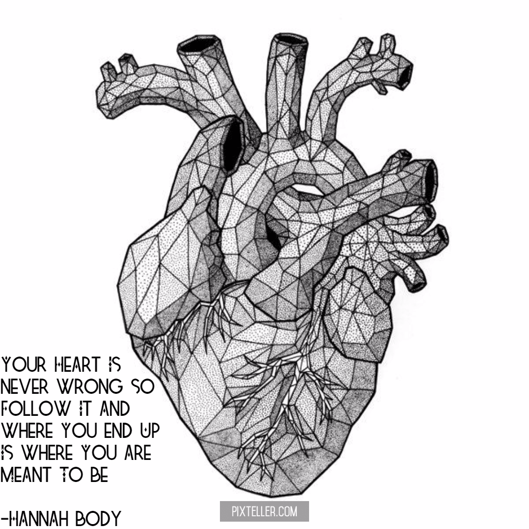 Heart Organ Sketch At Paintingvalley Com Explore Collection Of