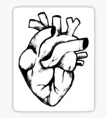 210x230 Anatomy Body Heart Organ Drawing Stickers Redbubble - Heart Organ Sketch