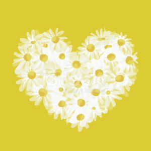 300x300 Summer Bouquet Heart Shape Made From Daisy, Sketch Design Stock - Heart Shape Sketch