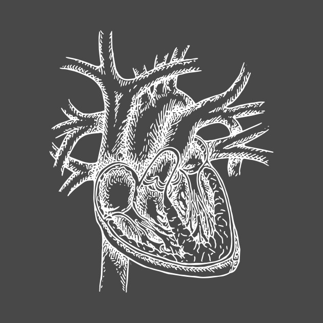 630x630 The Dissected Heart Sketch (White) - Heart Sketch