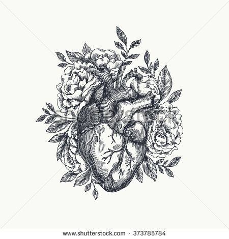 450x470 Valentines Day Card. Anatomical Heart With Flowers. Vector - Heart Sketch Tattoo