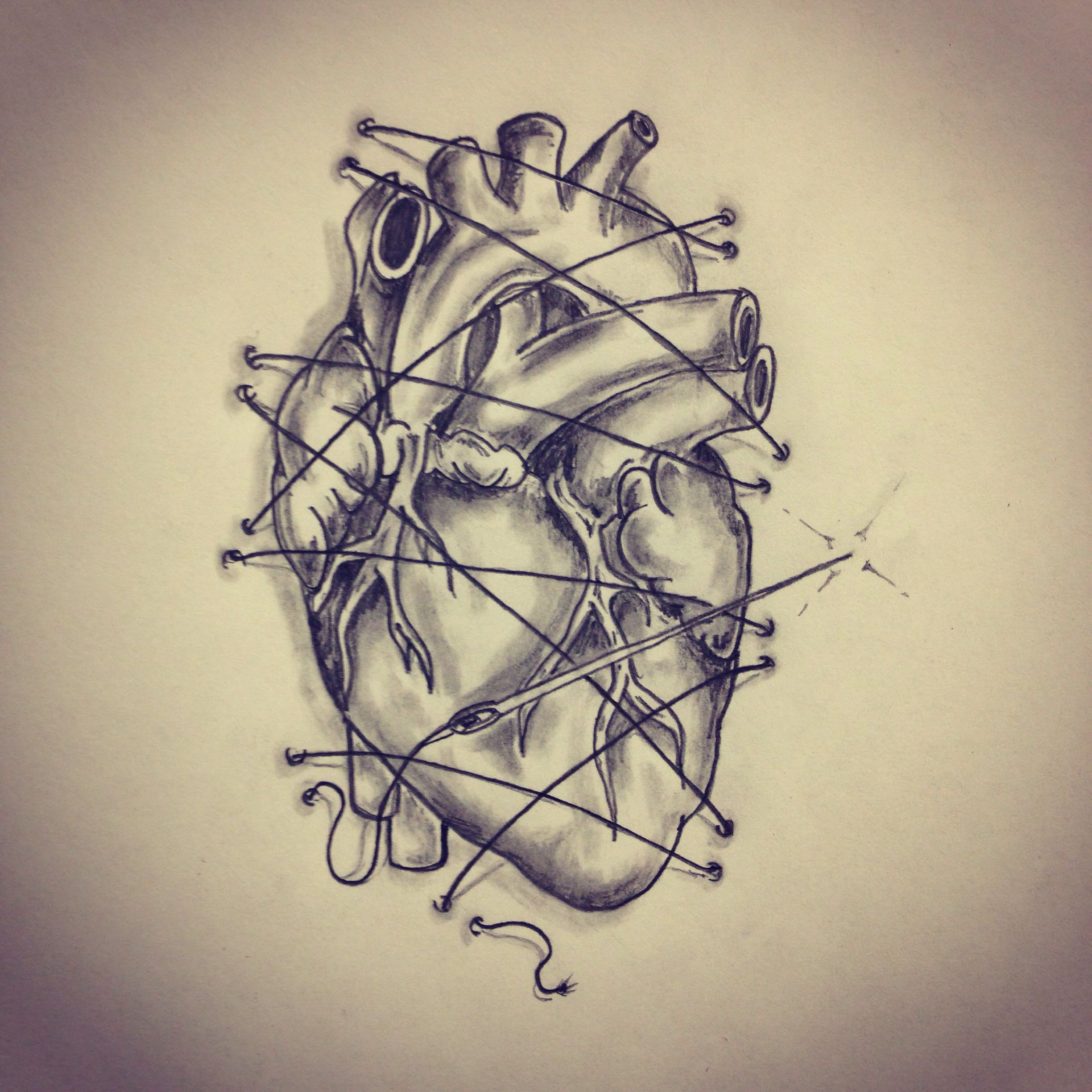 2448x2448 Anatomical Heart Threaded On Tattoo Art Sketches - Heart Sketch Tattoo