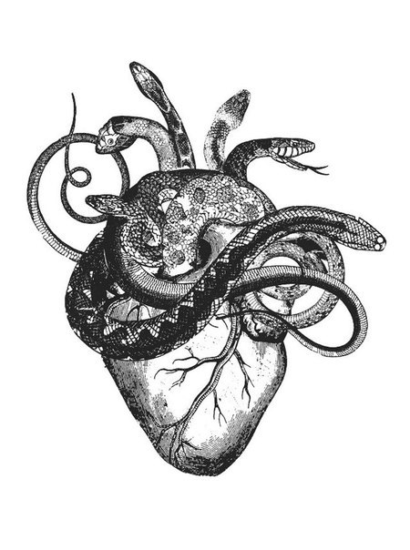 450x604 Black And White Tattoos Tattoo Heart Octopus Sketch Snake Mouse - Heart Sketch Tattoo