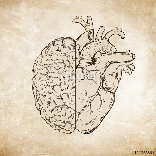 500x500 Hand Drawn Line Art Human Brain And Heart. Da Vinci Sketches Style - Heart Sketches