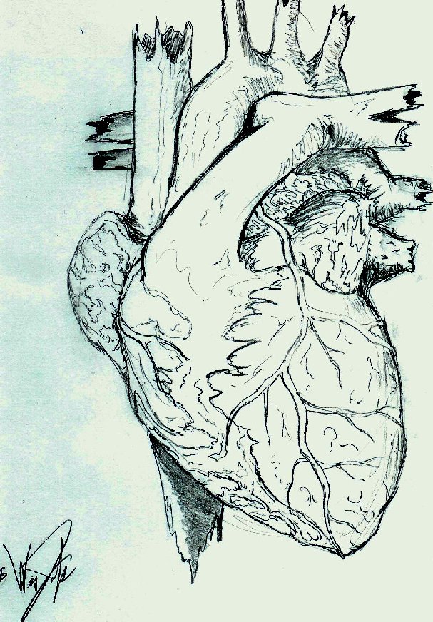 607x872 Heart Tattoo Sketch By Komodai - Heart Tattoo Sketch