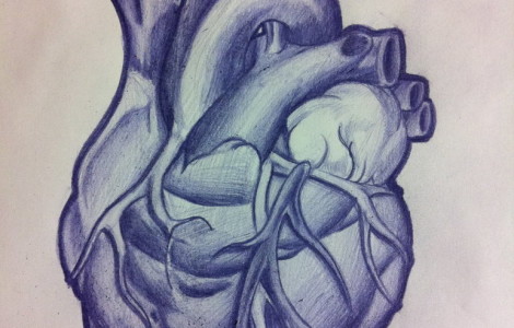 470x300 Anatomical Heart Tattoo Tattoos Designs Ideas - Heart Tattoo Sketch