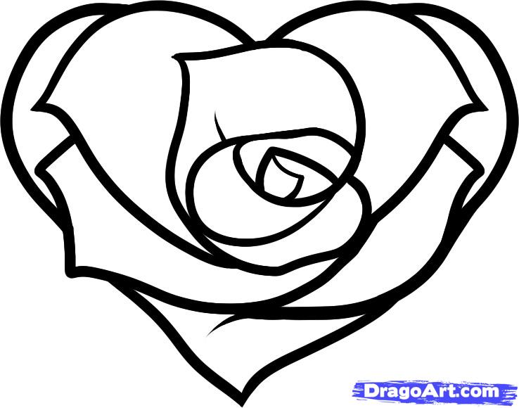 738x580 Gallery Pictures Of Roses And Hearts To Draw, - Hearts And Roses Sketch