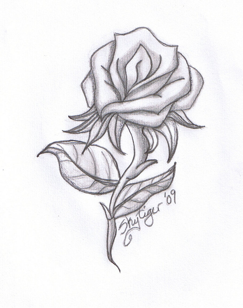 794x1007 Pencil Drawings Of Flowers And Hearts - Hearts And Roses Sketch