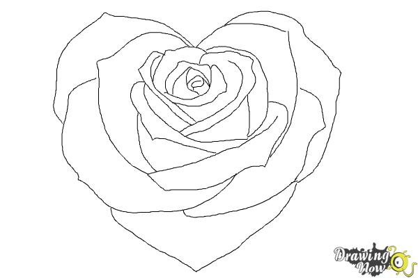 600x400 Photos Drawings Of Roses With Hearts, - Hearts And Roses Sketch