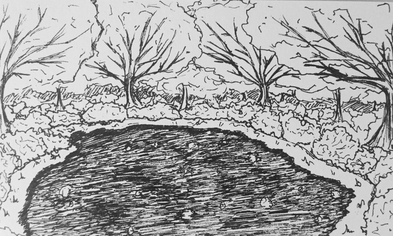 800x482 Osac Eye Of Heaven Pen Sketch By Dentistchicken - Heaven Sketch