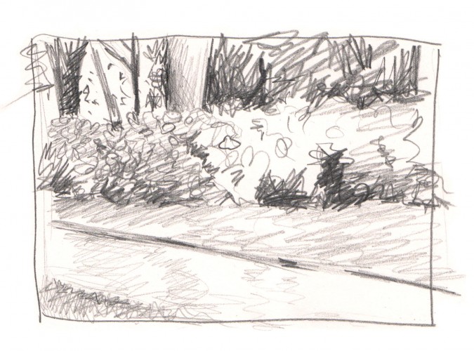 675x500 Emily Stanbury Sketchbook - Hedge Sketch