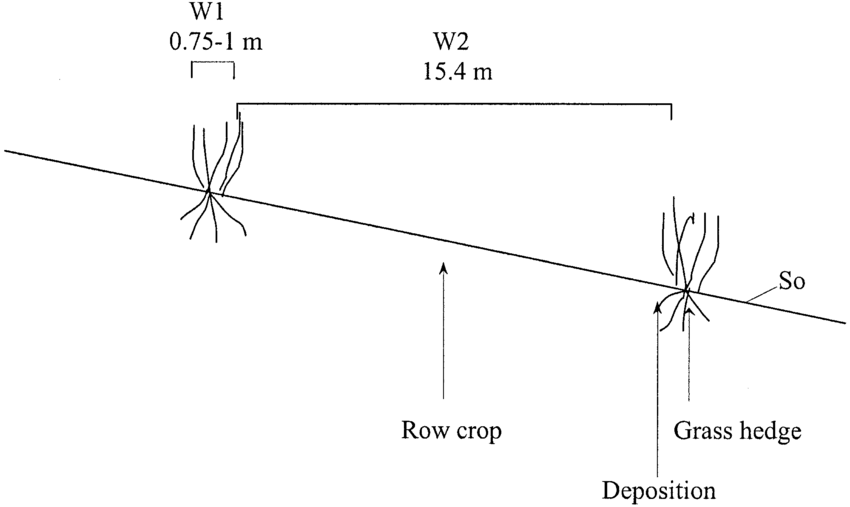 850x507 Schematic Sketch Of Grass Hedge System Illustrating The Width - Hedge Sketch