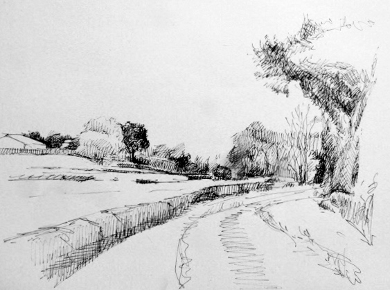 563x418 Sketching For Stitching Fran Brammer - Hedge Sketch