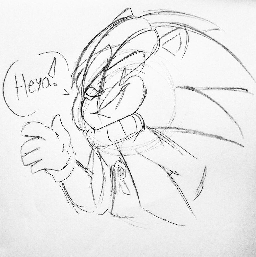 1023x1024 Some Sketch Art For Redgo Hedge Sonic The Hedgehog! Amino - Hedge Sketch