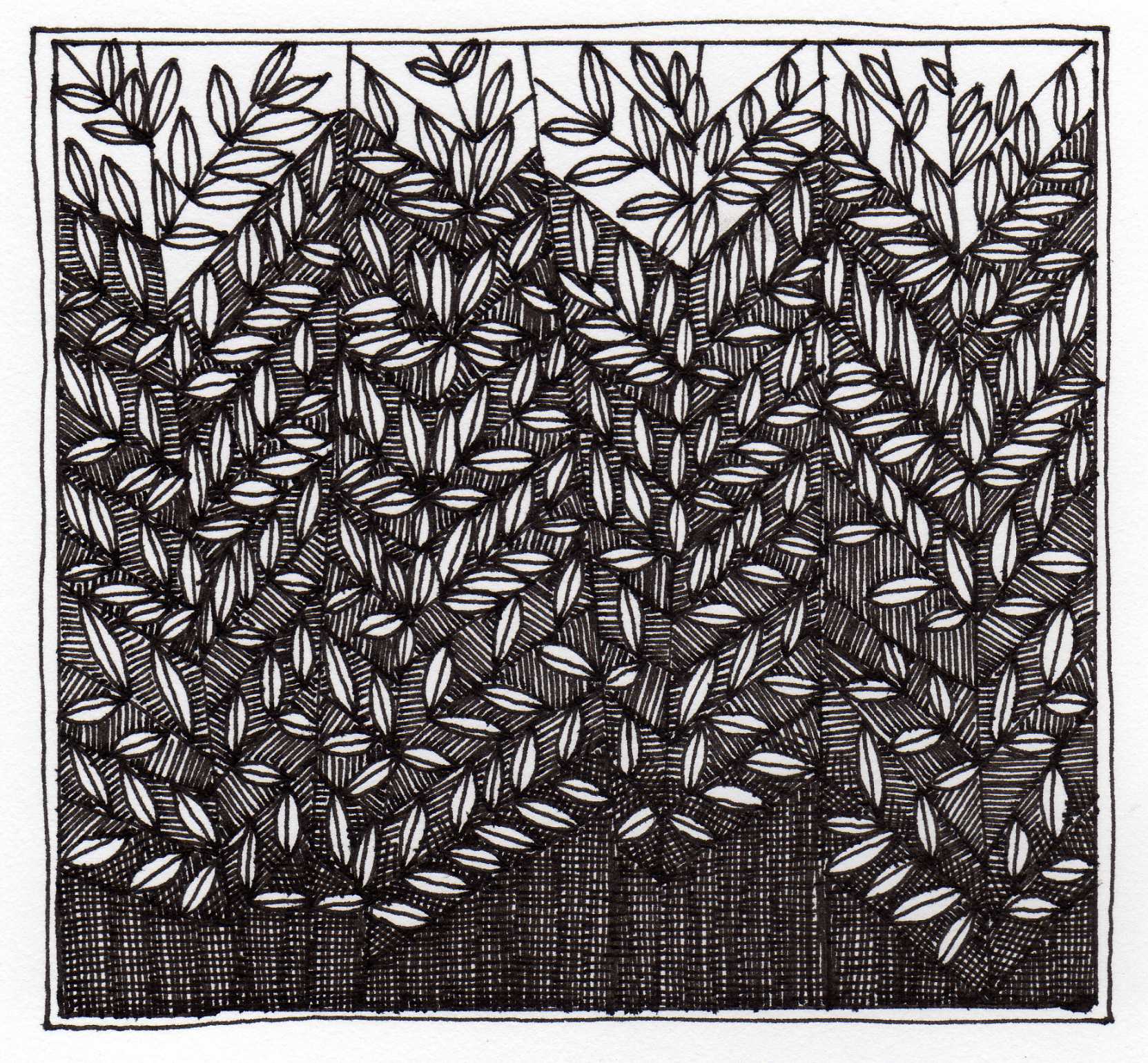 1663x1540 The Hedge Sketch Monika Krupa - Hedge Sketch