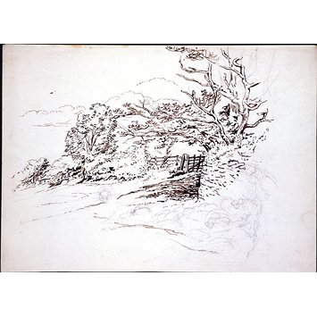 355x355 The Corner Of A Field Bordered By A Hedge, A Gate And A Stone Wall - Hedge Sketch