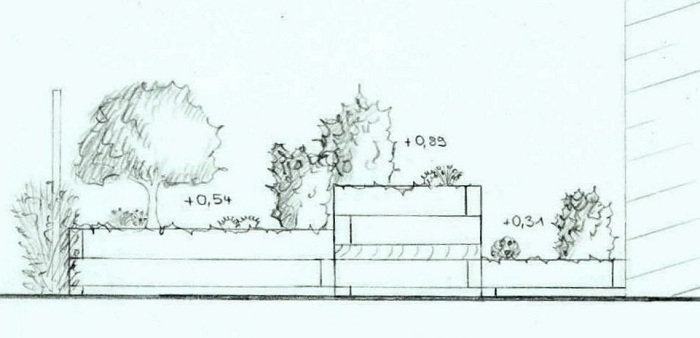 700x338 Dublin Garden Raised Beds, Low Maintenance Peter Donegan - Hedge Sketch
