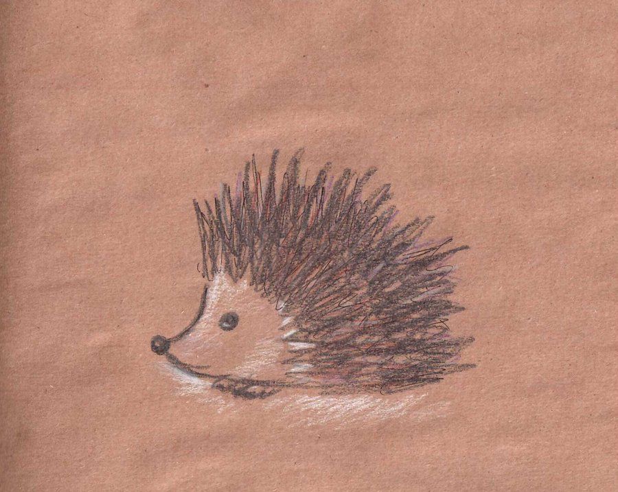 900x717 Hedgehog Sketch By Skleppi Sketch Sketches - Hedgehog Sketch