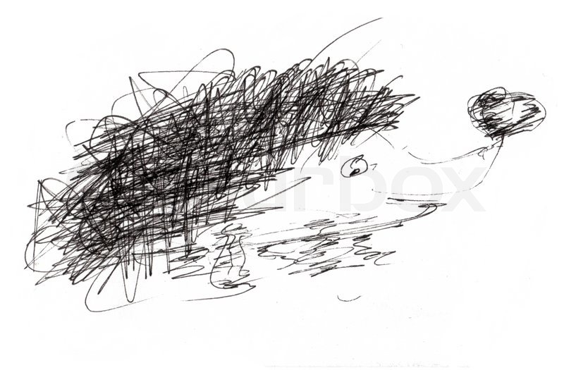 800x525 Hedgehog In Sketch Style Stock Photo Colourbox - Hedgehog Sketch