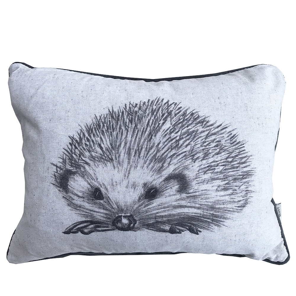 1000x1000 Pavilion Chic Cushion Hedgehog Sketch Pavilion Broadway - Hedgehog Sketch