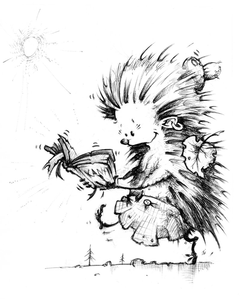 800x994 Hedgehog Sketch By 9th Max - Hedgehog Sketch