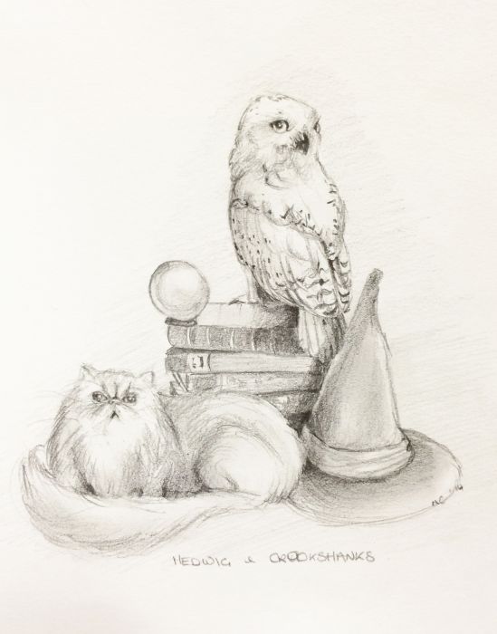 549x700 Sketch Fest! - Hedwig Sketch