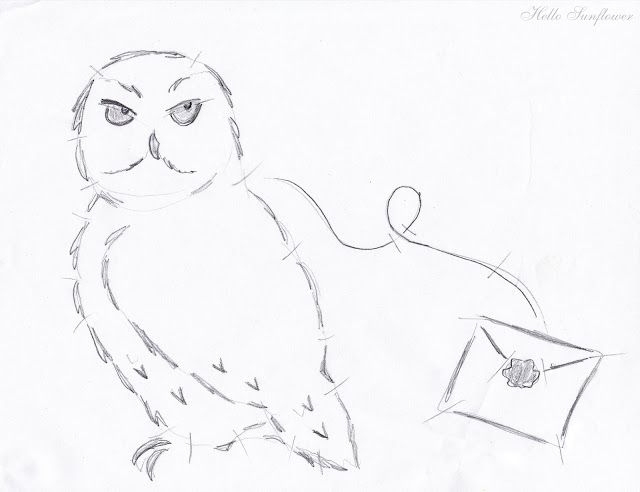 640x492 Hedwig Sketch For Pumpkin Carving ~hp Muggle Diagon Alley - Hedwig Sketch