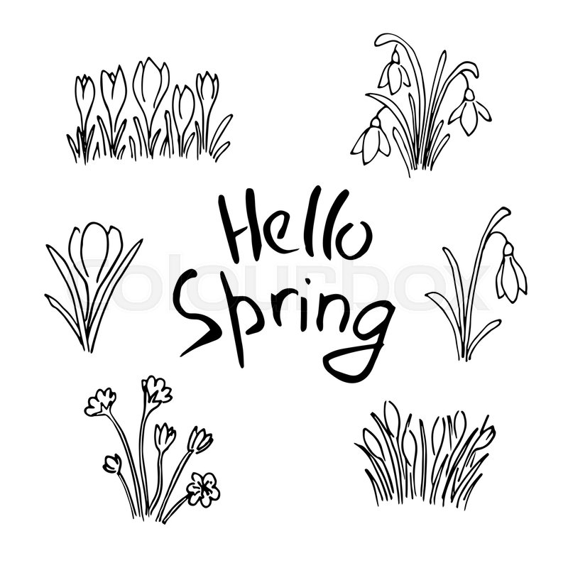 800x800 Hello Spring Sketch Set. Flowers And Lettering. Cute Lilac Flowers - Hello Sketch