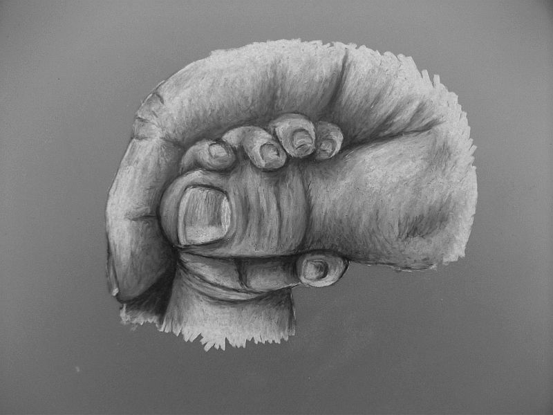 800x600 Helping Hands 2 - Helping Hands Sketch