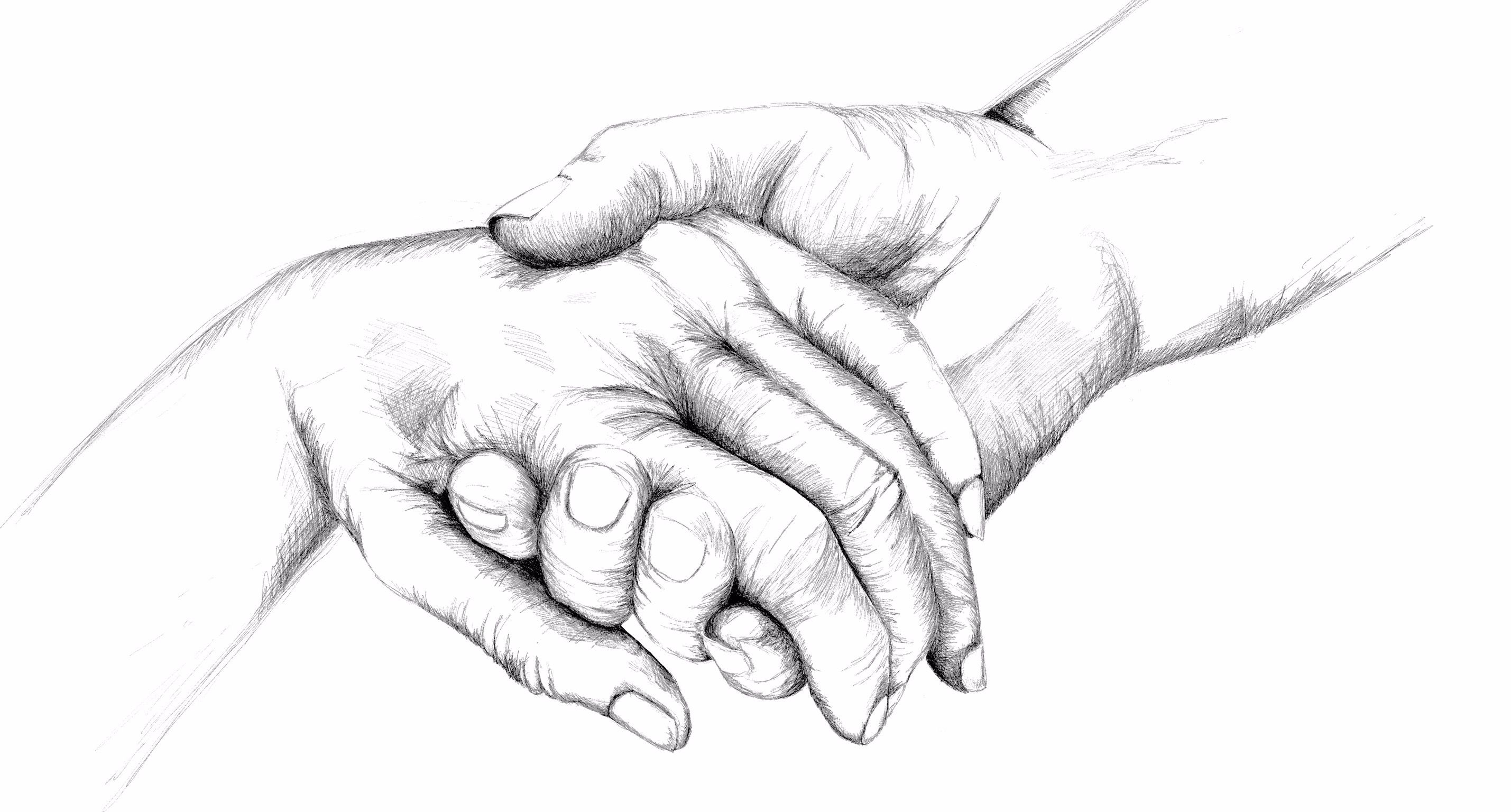 Helping Hands Sketch at Explore collection of