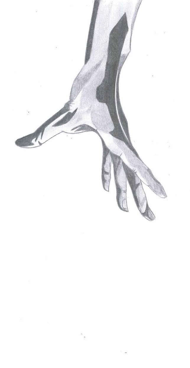 643x1244 Helping Hand By Priswolf - Helping Hands Sketch