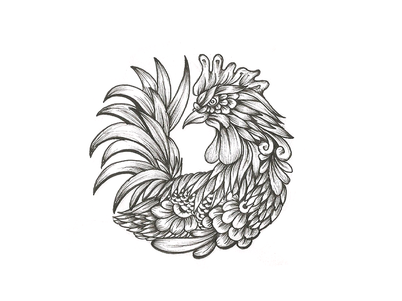 800x600 Hen Sketch By Koncept Makers - Hen Sketch