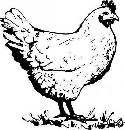 410x425 Hen Clipart Sketch Cute Borders, Vectors, Animated, Black And - Hen Sketch