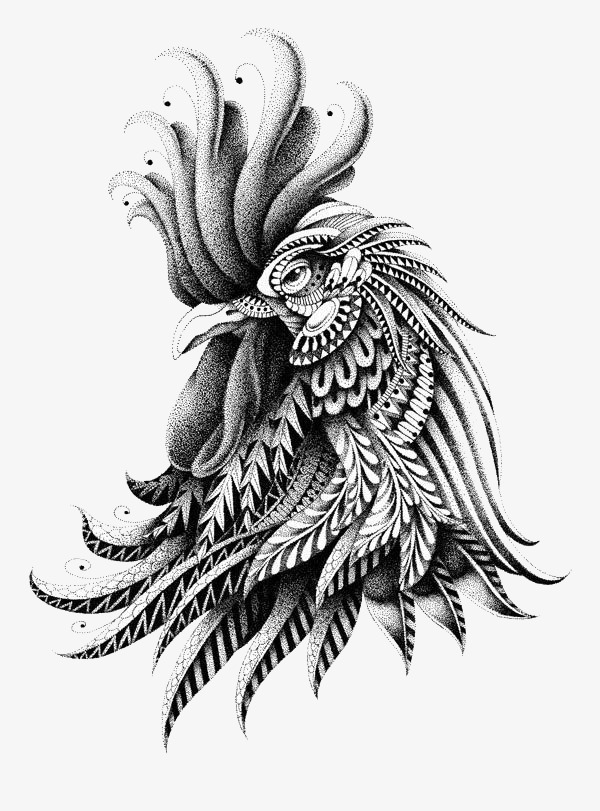 600x811 Sketch Cock, Big Cock, Big Hen, Chicken Png And Psd File For Free - Hen Sketch