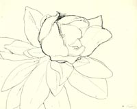 200x160 Selected Drawings And Graphic Work By Henri Matisse - Henri Matisse Sketches