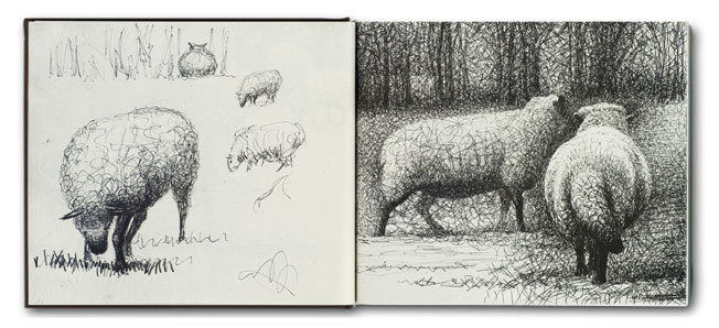 652x298 Henry Moore Drawings Of Sheep Seattle Artist League - Henry Moore Sketches
