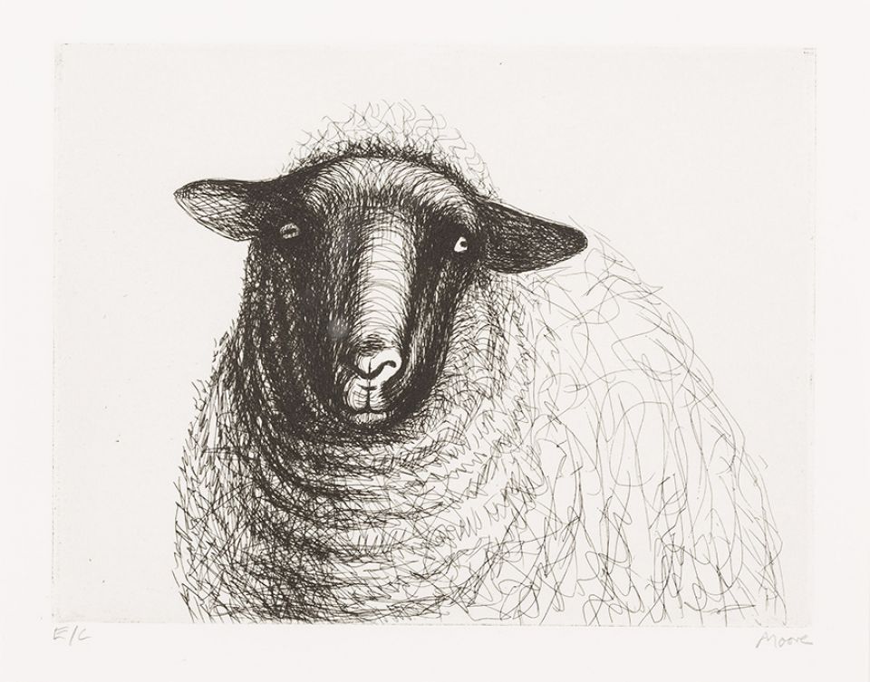 960x753 Henry Moore Sheep - Henry Moore Sketches
