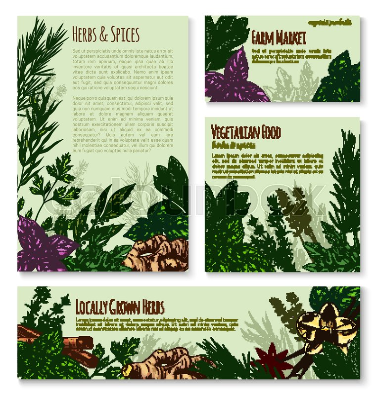 760x800 Herb, Spice And Natural Seasoning Banner Template. Rosemary, Red - Herb Sketches