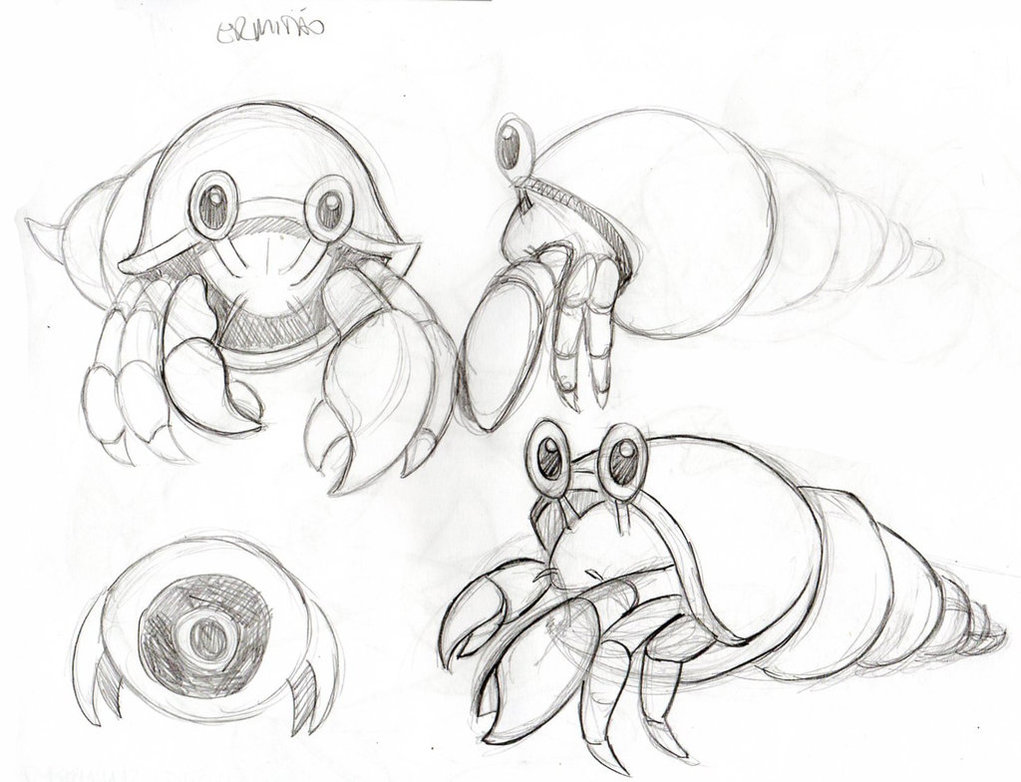 1021x782 Hermit Crab Sketch - Hermit Crab Sketch
