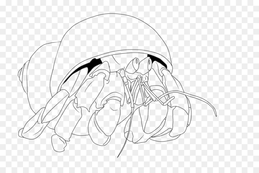 900x600 A House For Hermit Crab Coloring Book - Hermit Crab Sketch