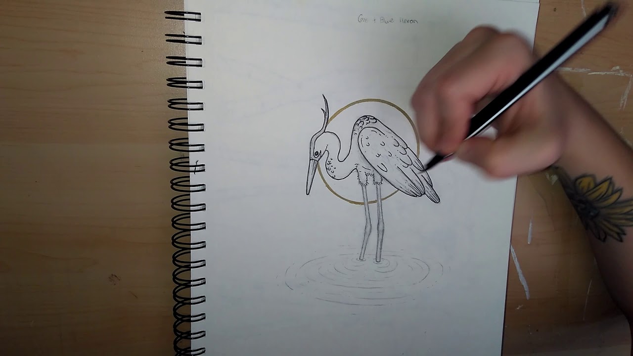 1280x720 Great Blue Heron Drawing - Heron Sketch