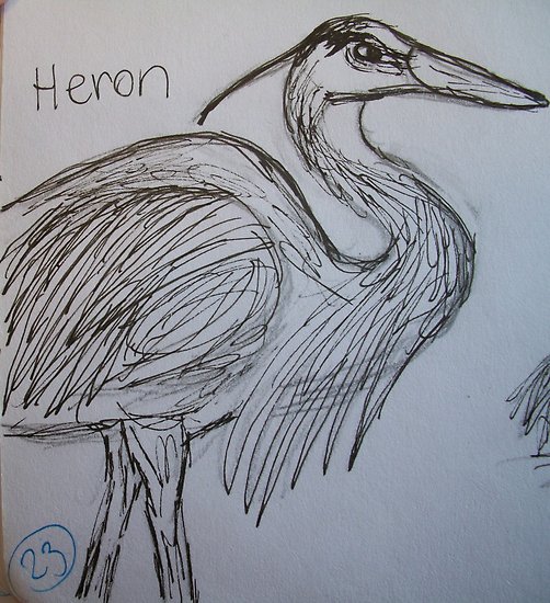 502x550 Heron (Sketch) Posters By Skylarmuller Redbubble - Heron Sketch