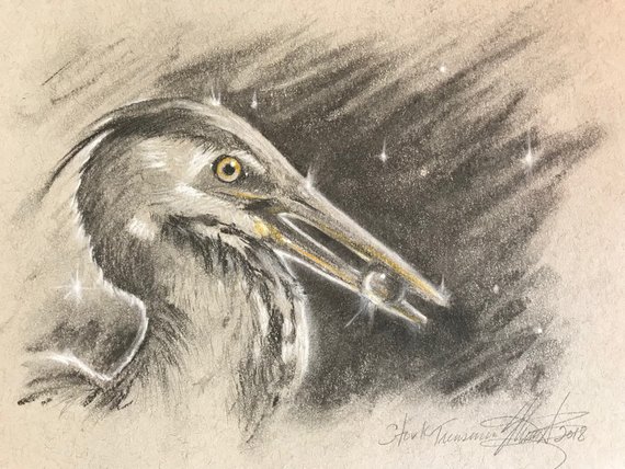570x428 Heron Art Bird Drawing Charcoal Pastel Original Animal His Etsy - Heron Sketch