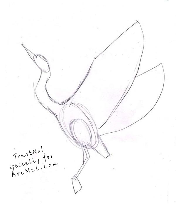 600x753 How To Draw A Heron Step By Step - Heron Sketch