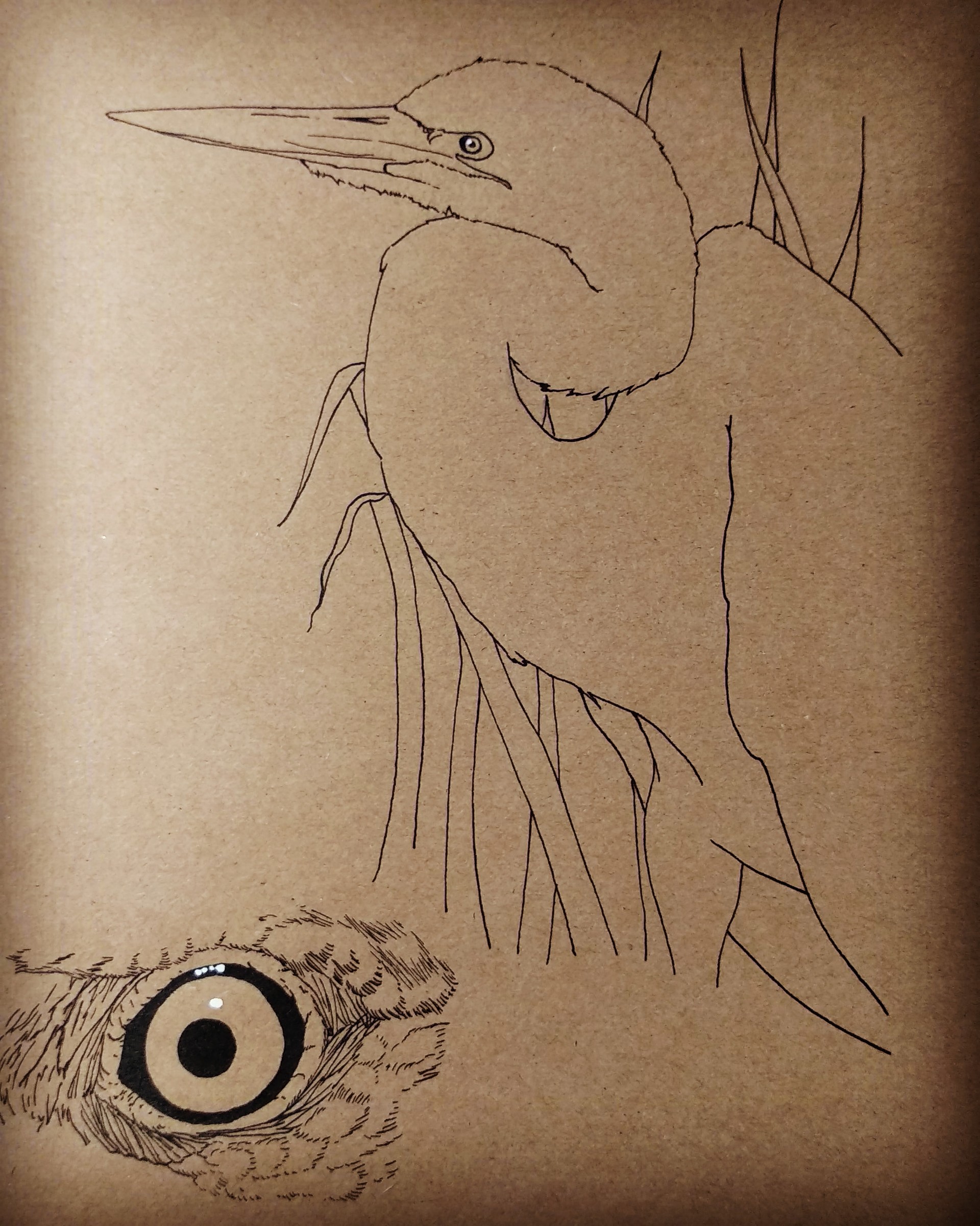 1920x2400 Letizia Parlanti - Heron Sketch