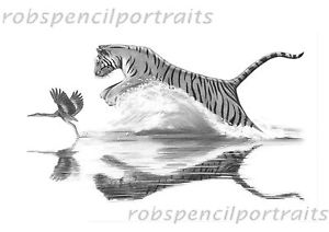 300x212 Tiger And Heron Art Drawing Print Present Gift For Big Cat Lover - Heron Sketch