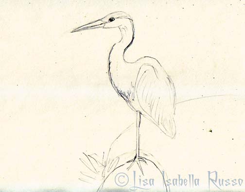 504x395 The Fine Art And Ramblings Of Lisa Isabella Russo Art Sketch Of A - Heron Sketch