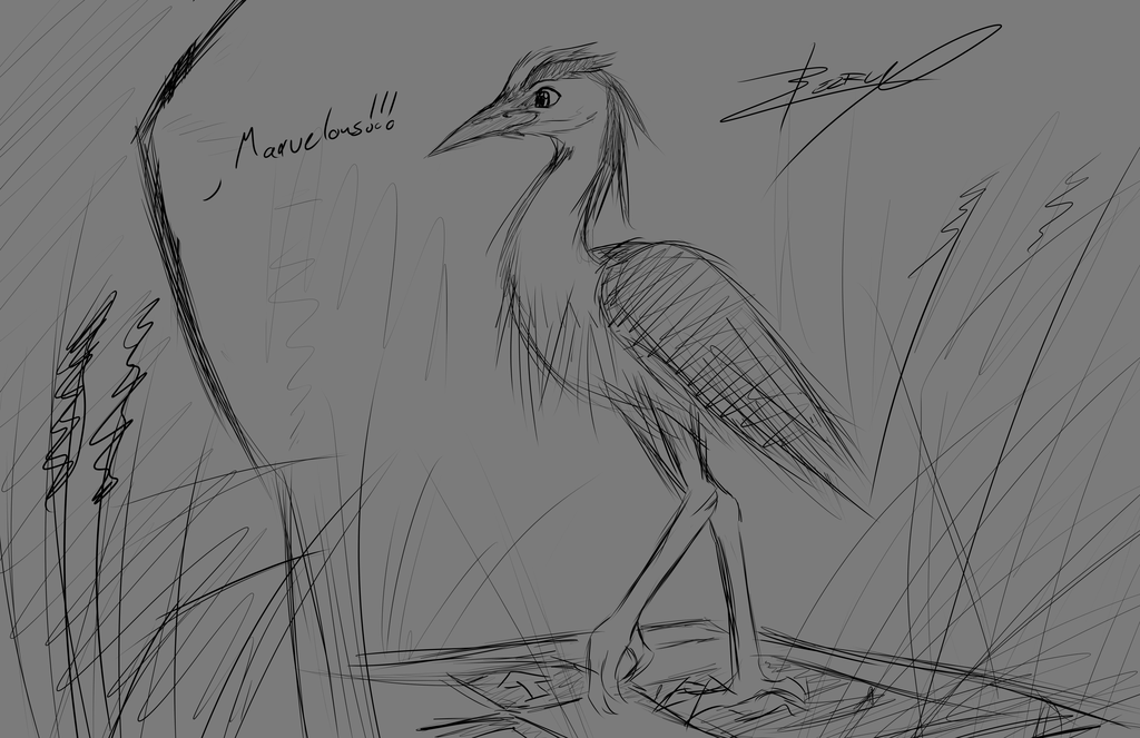1024x663 Dance Of The Blue Heron - Heron Sketch
