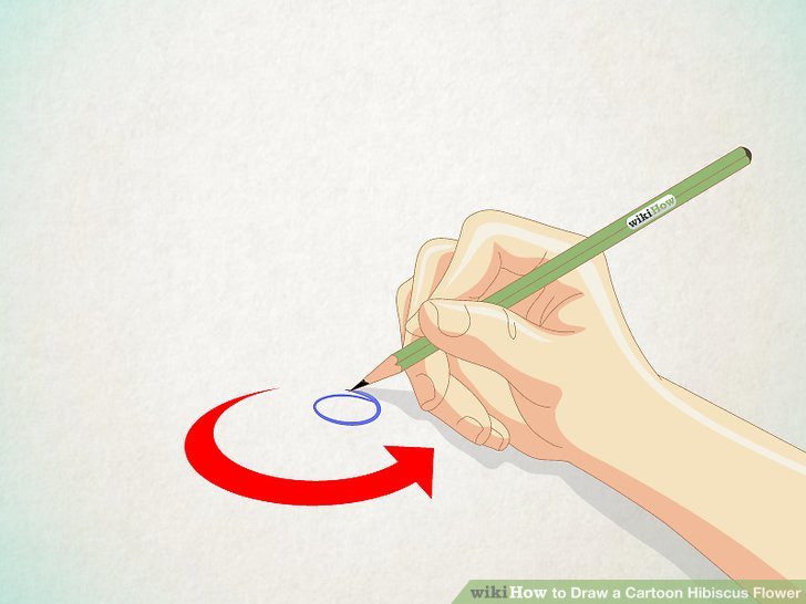 Hibiscus Pencil Sketch