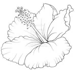 300x275 Hibiscus Flower Drawings - Hibiscus Pencil Sketch